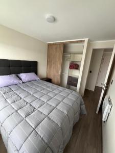 a bedroom with a large bed and a large mirror at Centro Temuco 3 in Temuco