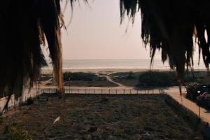 a view of the beach from under a palm tree at Beach Front Guesthouse in Puerto Escondido