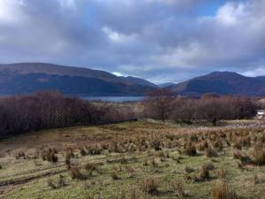 ein Feld mit einem See und Bergen im Hintergrund in der Unterkunft Christmas Cottage in Balmaha