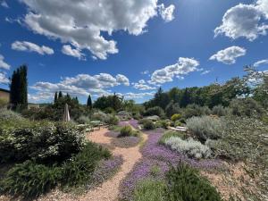 un jardin avec des fleurs violettes et un ciel bleu dans l'établissement Casale Terre Rosse, à Saturnia