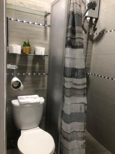 a bathroom with a toilet and a shower curtain at Big blue house in Chimbote