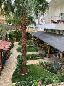 a palm tree in the middle of a courtyard at Guest Room Angolo Toscano in Vlorë