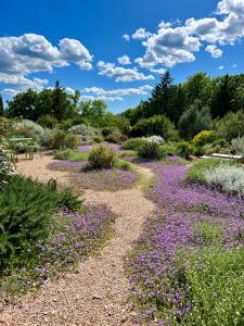 a garden with purple flowers in the middle at Casale Terre Rosse in Saturnia