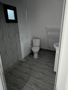 a bathroom with a toilet and a sink at STORY GLAMPING POLOVRAGI in Racoviţa +31 photos
