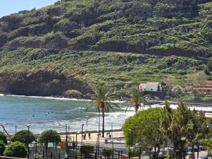 a beach with palm trees and a mountain at VIP Paradise Apartment in Machico