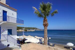 a palm tree next to a building and the ocean at Niko's Beach Suites ΕΝΑ in Agia Marina Aegina