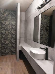a bathroom with a sink and a mirror at Apartament z dużym tarasem in Kraków