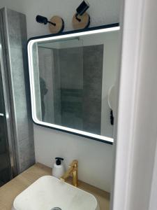 un bagno con lavandino e specchio di Studio première ligne mer parking a La Grande-Motte
