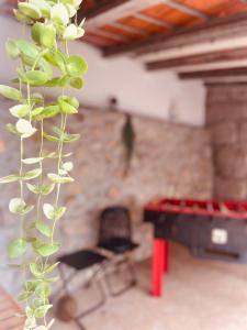 Φωτογραφία από το άλμπουμ του Quinta JR - Casa de campo σε Carregal