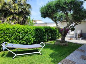 Family's Affairs في بومباي: كرسي جالس في العشب بجانب شجرة