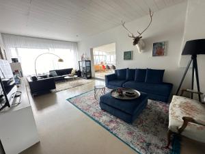 een woonkamer met een blauwe bank en een tapijt bij House in Hraunbraut in Kópavogur - Birta Rentals in Reykjavík
