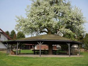 un cenador con un árbol en un parque en Czarna Owca, en Zalesie