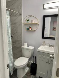 ein Badezimmer mit einem WC, einem Waschbecken und einem Spiegel in der Unterkunft NEW Designed Apt 2023 NrUCF PETSOk PrivateEntry in Orlando