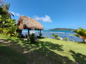 Gallery image of Pebos Reef in Juan Gallego