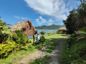 Gallery image of Pebos Reef in Juan Gallego