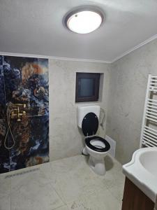 baño con aseo y TV en la pared en Cabana Cezar, en Budureasa