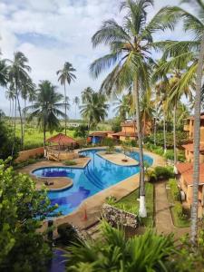 - une vue aérienne sur la piscine du complexe bordée de palmiers dans l'établissement Un Oasis entre Olas y Palmeras con Playa Privada, à Tucacas