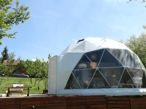 Taman di luar Glamping Beograd