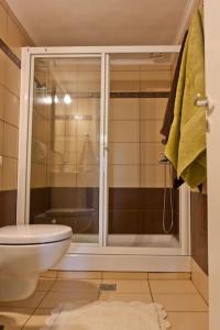 a bathroom with a shower and a toilet in it at Happy House-Comfortable Apartment in Vathi Square in Meganisi