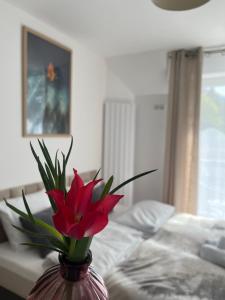 a vase with a red flower in front of a bed at Karkonoskie Widoki Apartamenty in Karpacz