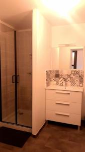a bathroom with a shower and a sink at Logement neuf et cosy proche centre ville in Chinon
