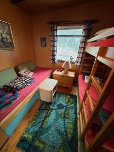 塞尔福斯Lovely retro cabin close to Geysir and Gullfoss的一间卧室，配有两张双层床和一张地毯