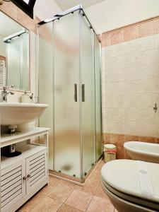 uma casa de banho com um chuveiro, um lavatório e um WC. em La casetta di Giulio II em Ostia Antica