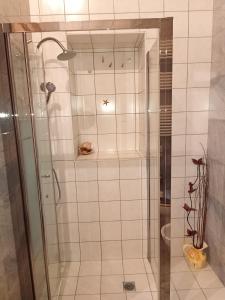 una doccia con porta in vetro in bagno di Fodor ad Avola