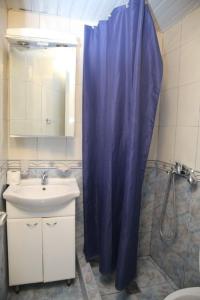 a bathroom with a blue shower curtain and a sink at Apartments Villa Lipci in Donji Morinj