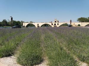 un pont avec un champ d'herbe à côté d'une route dans l'établissement Studio climatisé intramuros, à Avignon