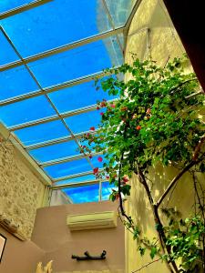 Photo de la galerie de l'établissement La maison du Bougainvillier 10 personnes, à Dions