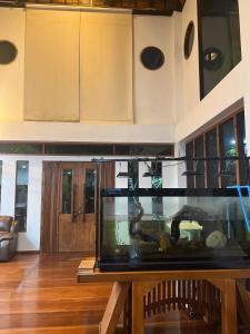 ein Aquarium auf einem Tisch im Wohnzimmer in der Unterkunft free tribe in Chiang Mai