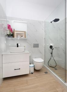 a bathroom with a toilet and a sink and a shower at Niko's Beach Suites ΔΥΟ in Agia Marina Aegina