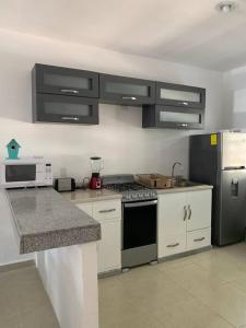 莫雷洛斯港的住宿－La Casa del Arbol -4bed 3 bath，厨房配有炉灶和冰箱。