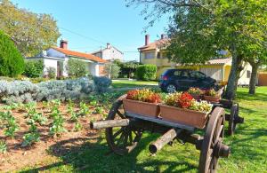 taczka wypełniona roślinami w ogrodzie w obiekcie Ferienhaus für 7 Personen ca 120 qm in Grandici, Istrien Bucht von Raša w mieście Grandići