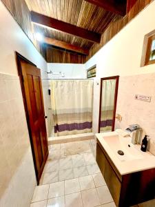 a bathroom with a shower and a sink and a mirror at Hotel Exotic Lodge in Puerto Viejo