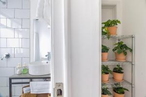 a bathroom with a sink and potted plants at Amalli, Refugio Urbano in Mexico City +92 photos