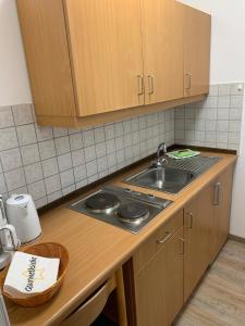 a kitchen with a stove and a sink at Bayerischer Wald auf 800m Höhe-Willkommen in Schöfweg