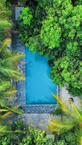 una vista aérea de una piscina rodeada de árboles en My Village, en Tissamaharama