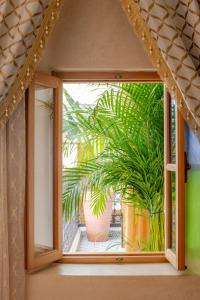 una finestra in una stanza con una pianta di Luxurious Riad Center Rabat Dar Al Jeld a Rabat