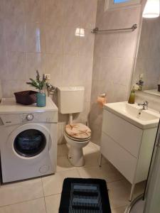 uma casa de banho com uma máquina de lavar roupa e um WC em Apartments with WiFi Pula - 22955 em Pula
