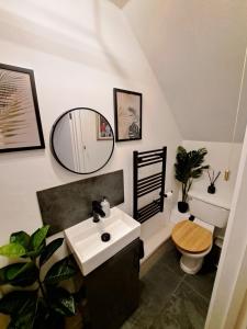 a bathroom with a sink and a toilet and a mirror at The cosy nook in Barnstaple