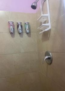 a shower with four clippers in a shower stall at Denyse Home Cottage in Saint Johnʼs
