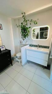 ein Badezimmer mit einem Waschbecken, einem Spiegel und einem WC in der Unterkunft Confort au cœur des Puces PARIS Appartement modern in Saint-Ouen