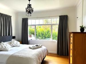 a bedroom with a bed and a large window at Tauranga - Stylish & Centrally Located Near Hospital in Tauranga