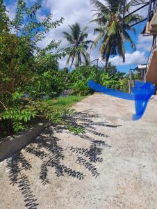 une ombre d'un palmier au sol dans l'établissement “Marley’s Home“, à Lautoka