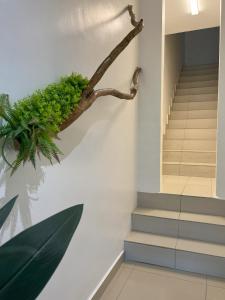 a plant on a wall next to a staircase at 2-Bedroom Suite near Kek Lok Si & Penang Hill, Dual key system in Ayer Itam