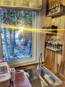 蘇梅島的住宿－BRAND NEW Beachfront Tiny Home Oniro，厨房设有水槽和窗户。