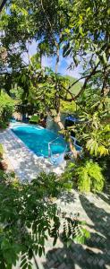 a blue swimming pool in a yard with trees at Villa The Leaf in Weligama