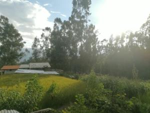 une maison au milieu d'un champ arboré dans l'établissement Pitec Hostel Lodge, à Huaraz